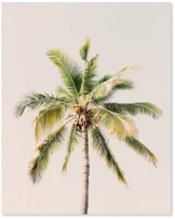 Picture 19.69X15.75 in