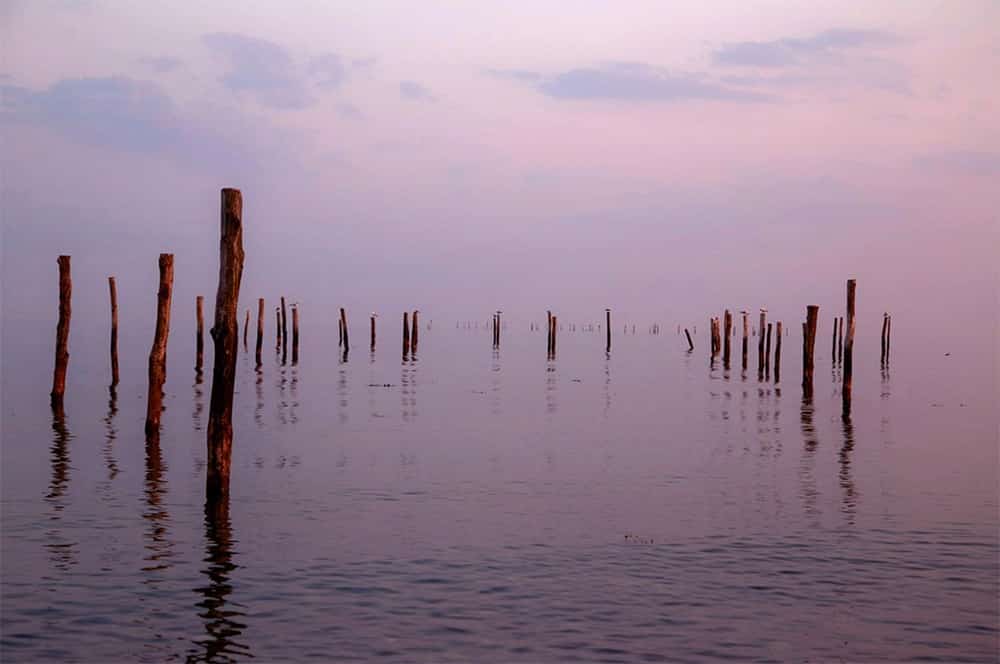 tree's out at see by photographer Threin Offossen tree's out at see by photographer Threin Offossen