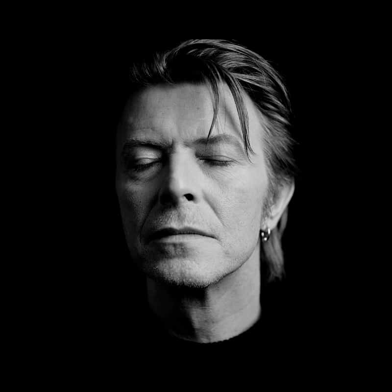 bowie_2_12x12.jpg