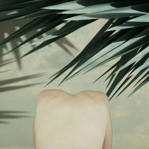 tumblr_o8eew2CNQT1qahvd2o1_500.jpg